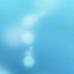 Hope in the Midst of Despair: End-of-Year Reflections on 2014