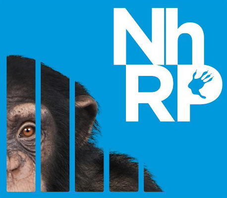Nonhuman Rights Project and Steve Wise