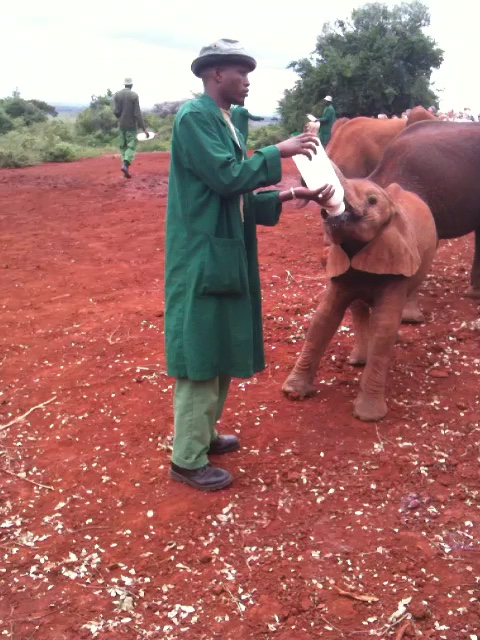 Justice for Animals