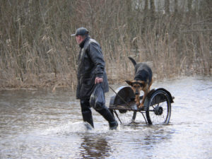 Helping People and Animals in a Natural Disaster